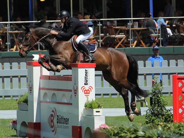 4中的高效 4中的高效