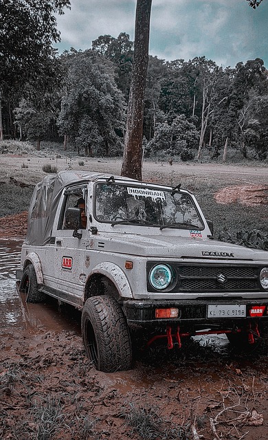 表大会常务 表大会常务